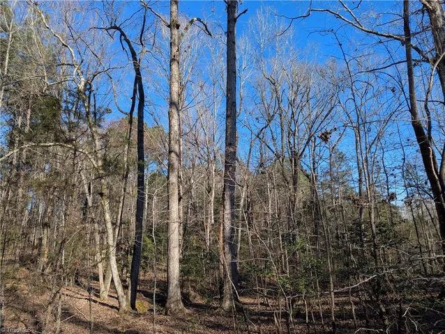 $19,900 | 131 Stormy Court, New London, NC 28127