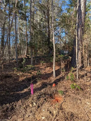 $19,900 | 131 Stormy Court, New London, NC 28127