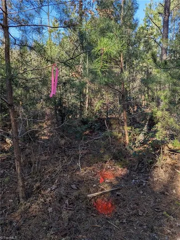 $19,900 | 131 Stormy Court, New London, NC 28127