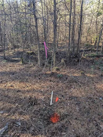 $19,900 | 131 Stormy Court, New London, NC 28127