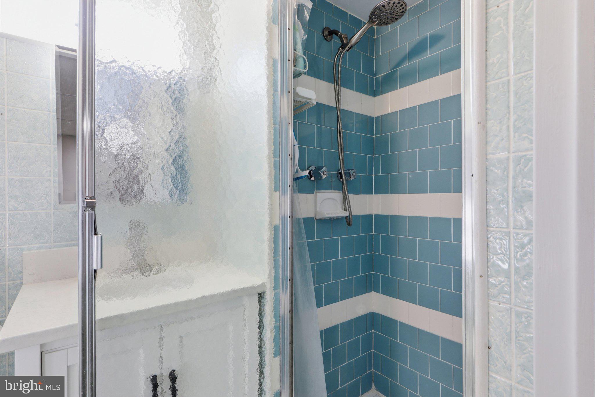 908 Gabel Street Silver Spring, MD 20901 - Photo 24 of 39 Lower Level Full Bath