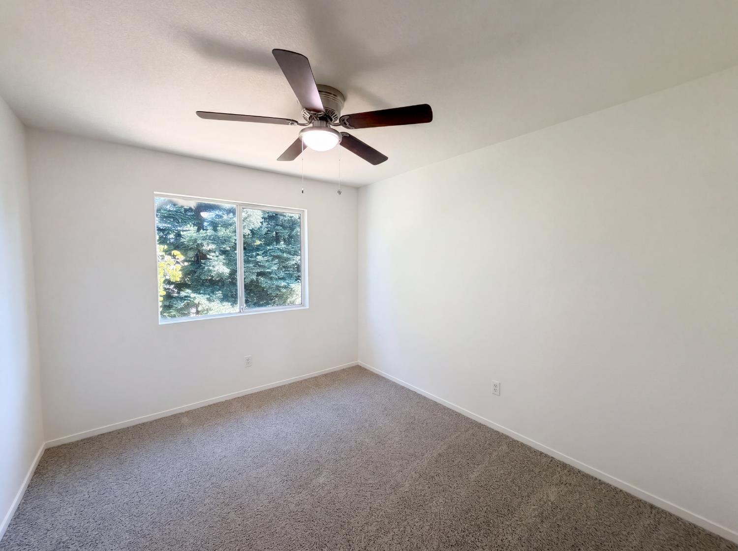 2805 Aquamarine Circle Rescue, CA 95672 - Photo 14 of 29