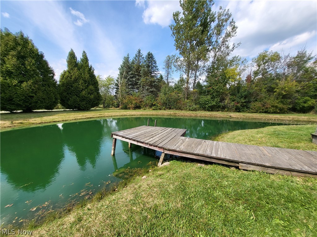 8383 Pawnee Road Lodi, OH 44254 - Photo 28 of 35 Pond has beautiful fish in it!