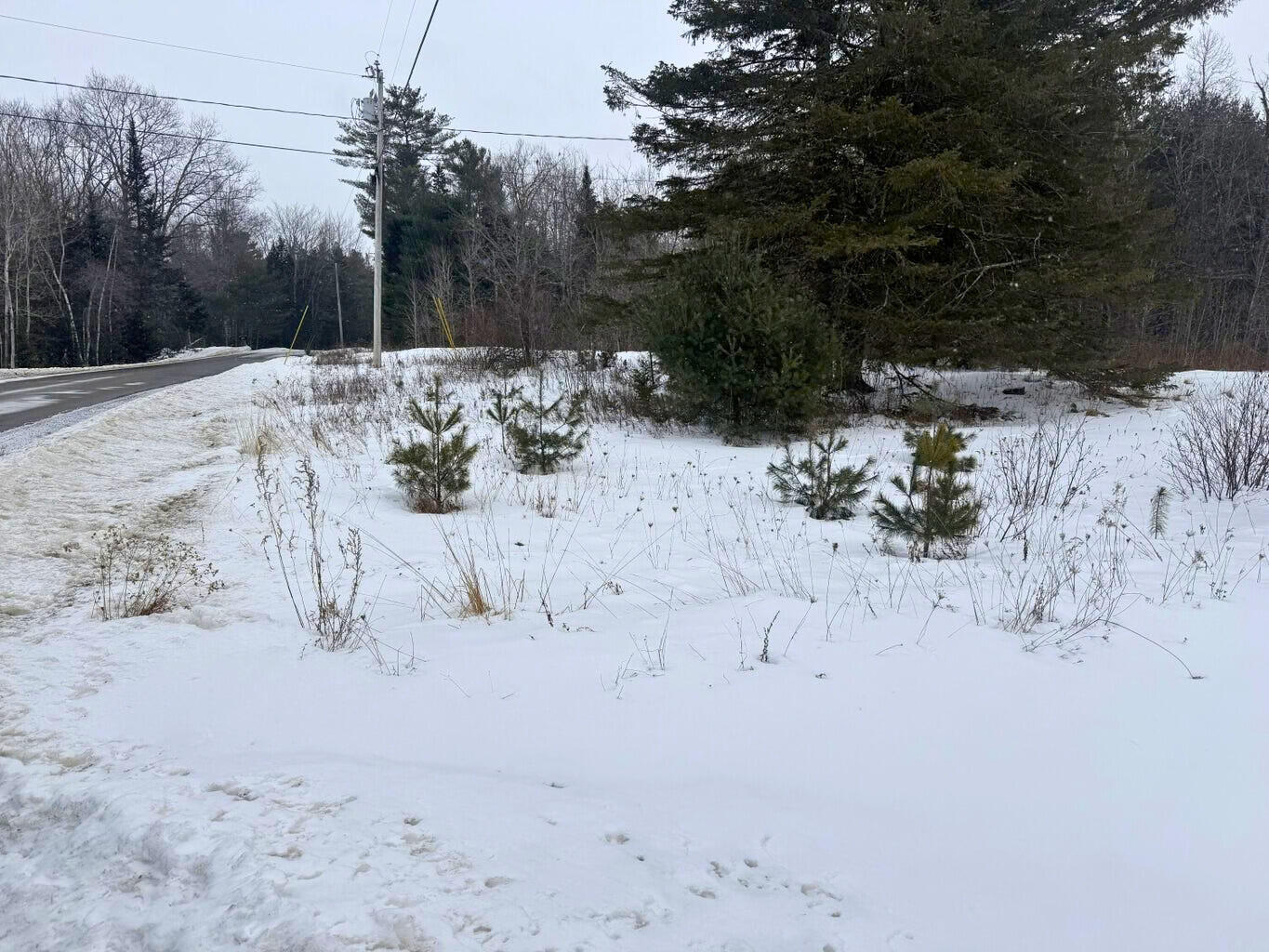 1213 Collinstown Road Appleton, ME 04862 - Photo 2 of 8