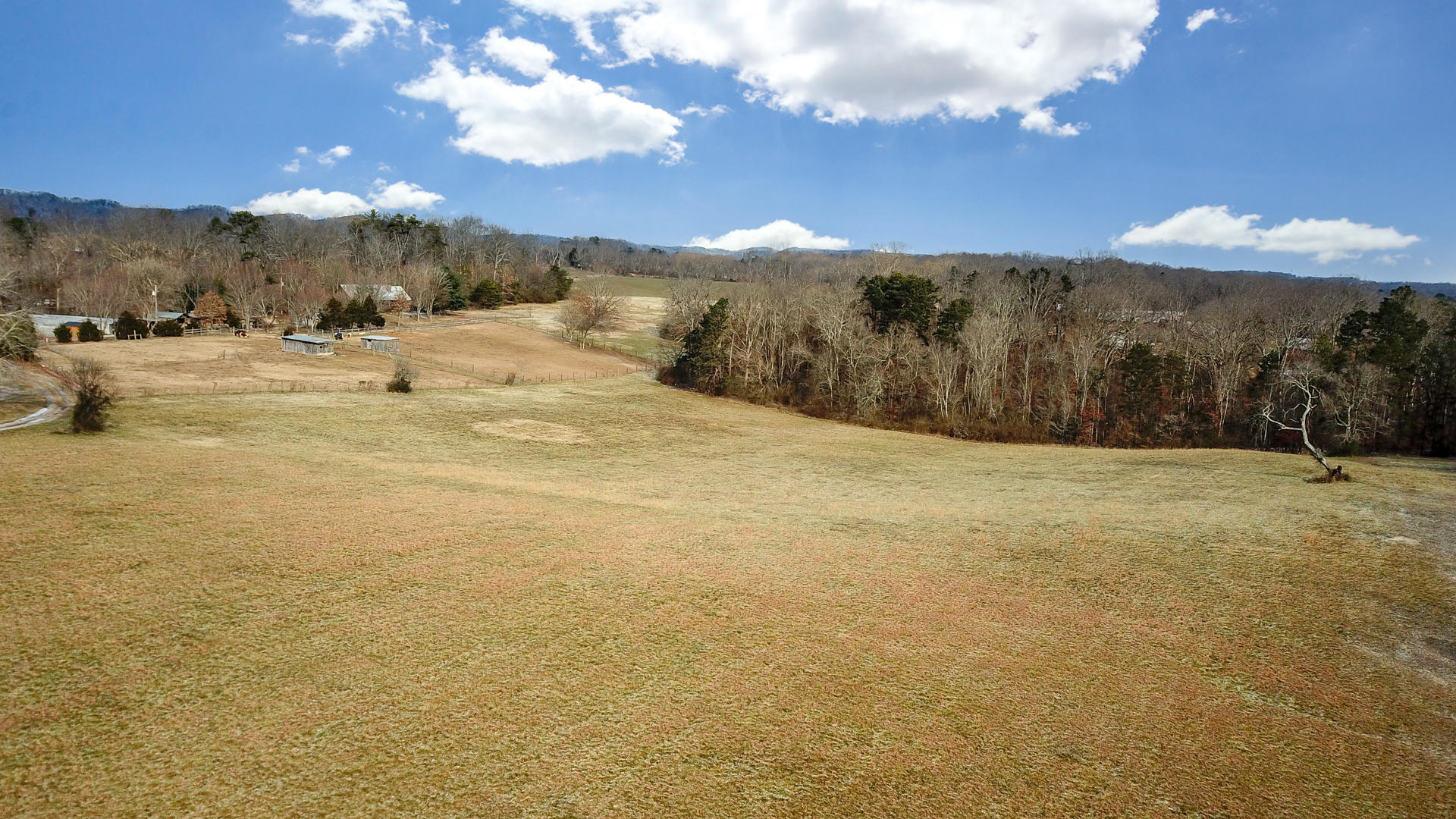 Alfred Mccammon Road Maryville, TN 37804 - Photo 3 of 11 DSC_1929-3