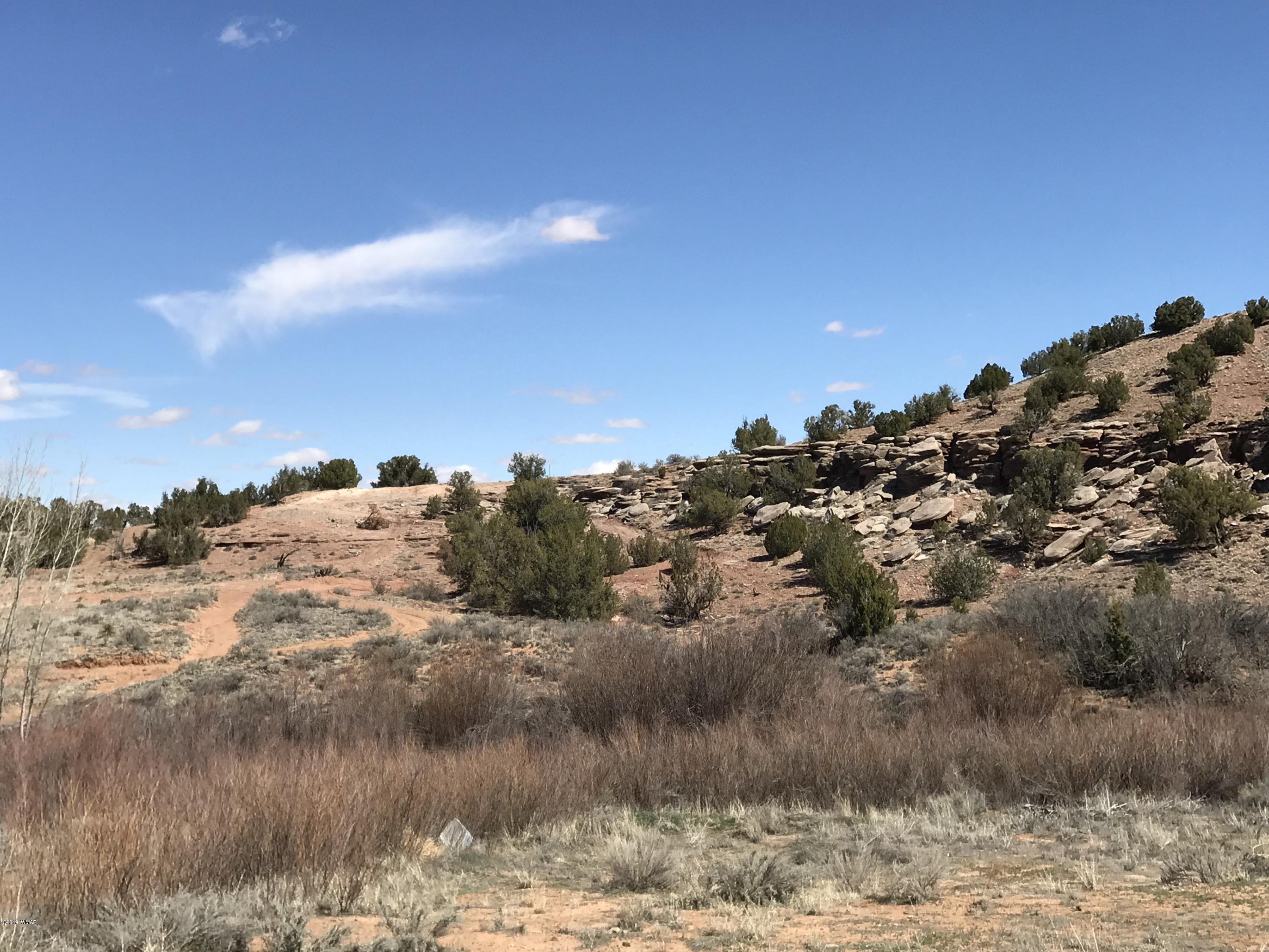 1362 Lobo Trail Snowflake, AZ 85937 - Photo 32 of 34 a view of a yard