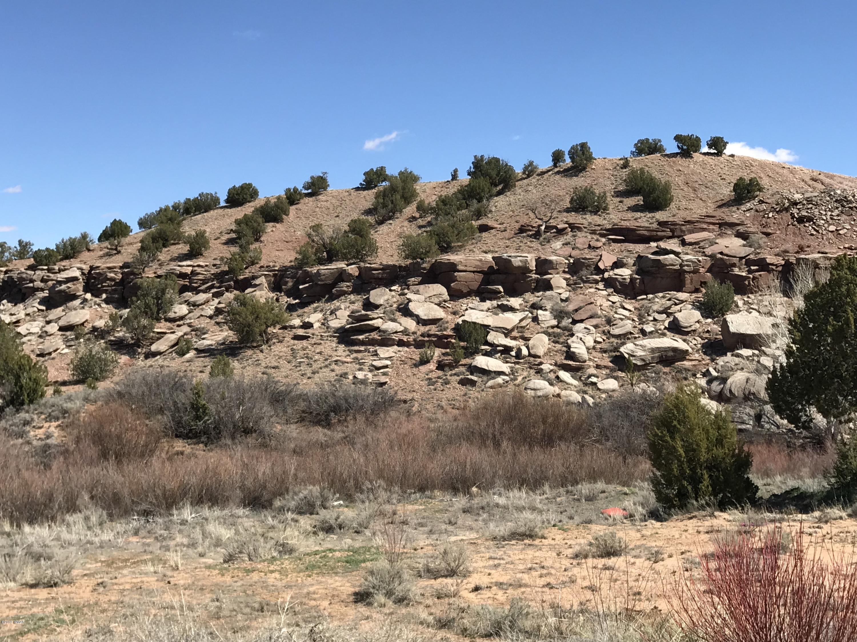1362 Lobo Trail Snowflake, AZ 85937 - Photo 33 of 34