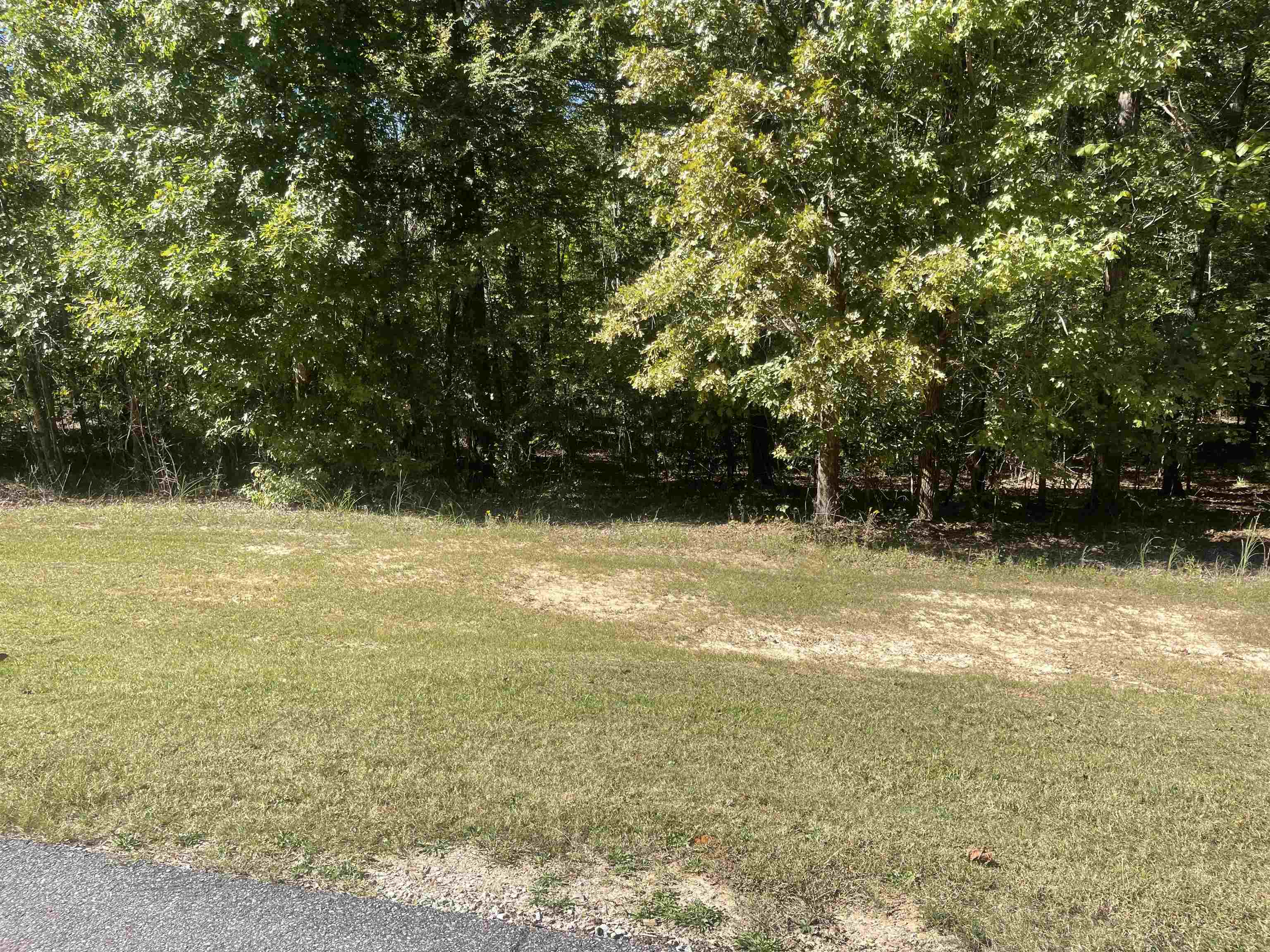 Lot 255 Old South Road Counce, TN 38326 - Photo 2 of 10 a view of a swimming pool with an outdoor space