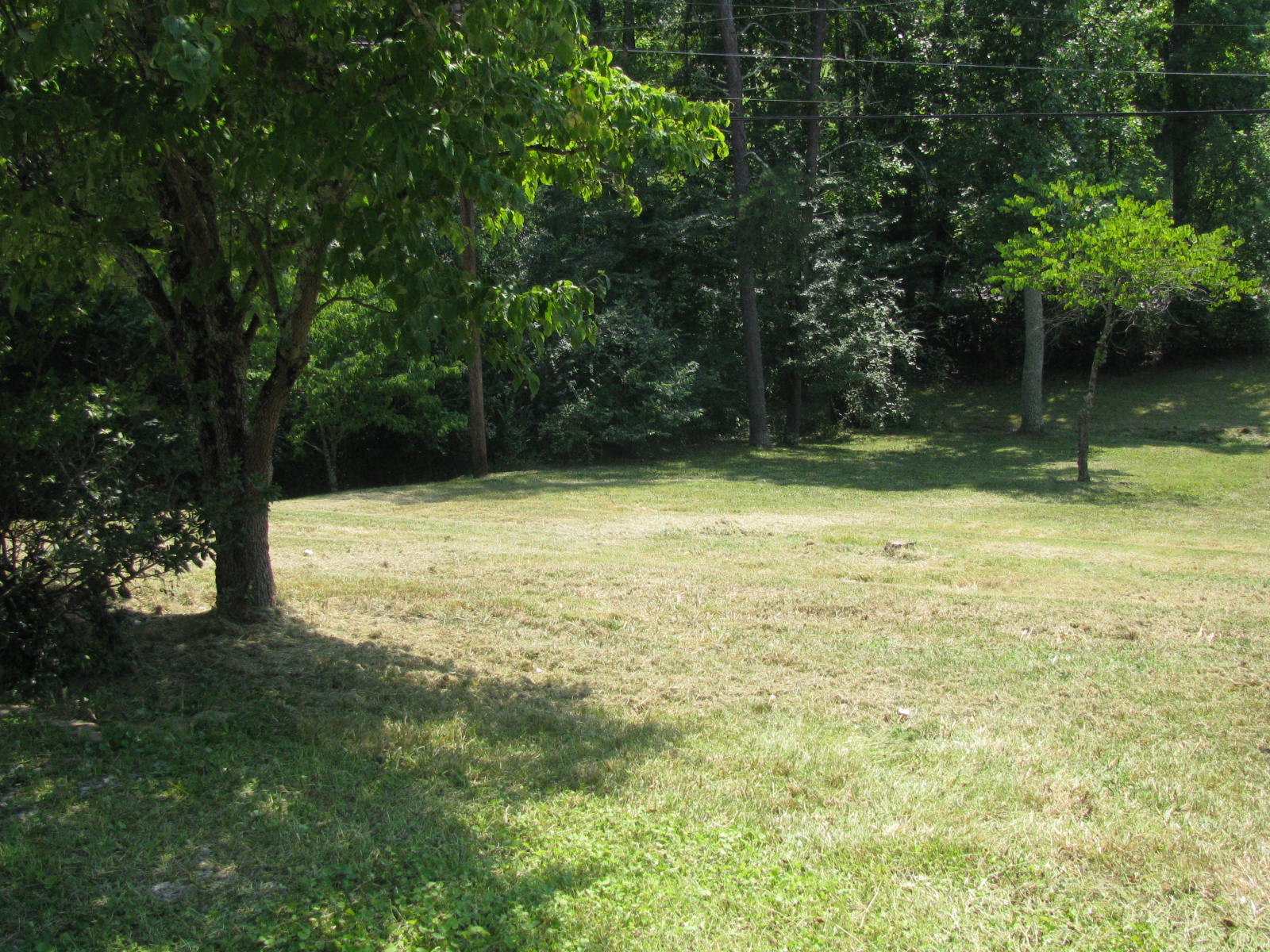 8330 Spangler Road Knoxville, TN 37920 - Photo 5 of 31 8330 Spangler Road #2 009