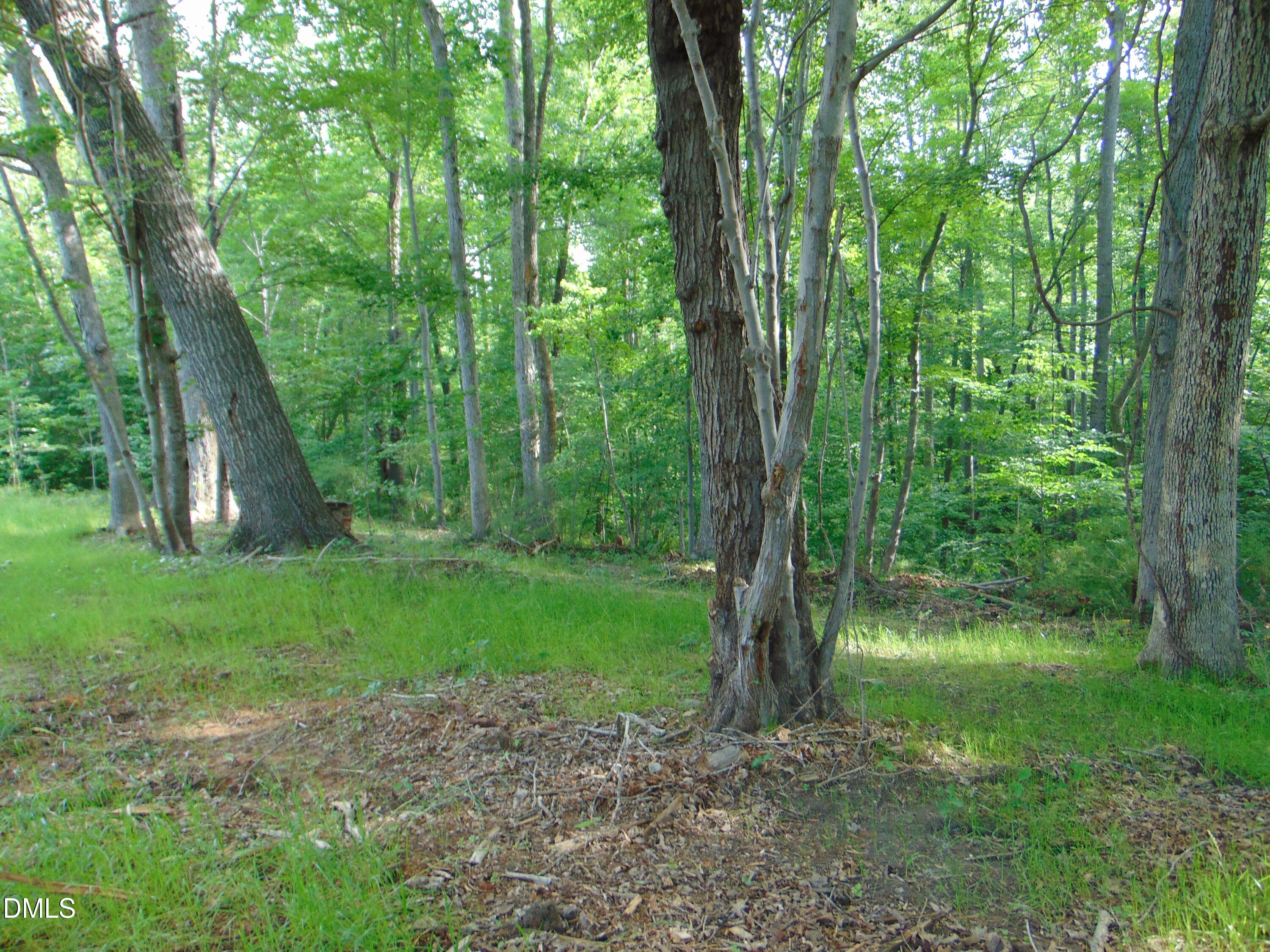 0 Walters Mill Road Providence, NC 27315 - Photo 12 of 22 DSC01569