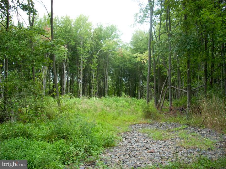 6603 Ferry Road New Hope, PA 18938 - Photo 1 of 2