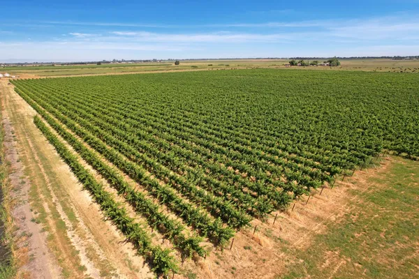 $1,950,000 | 14226 Highway 160, Walnut Grove, CA 95690