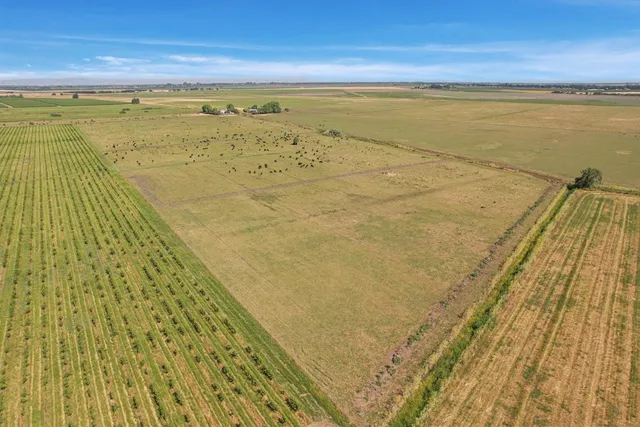 a view of an ocean beach