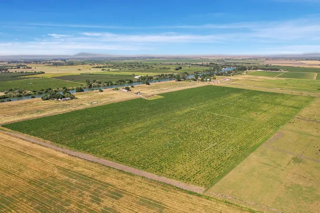 a view of an ocean from a city