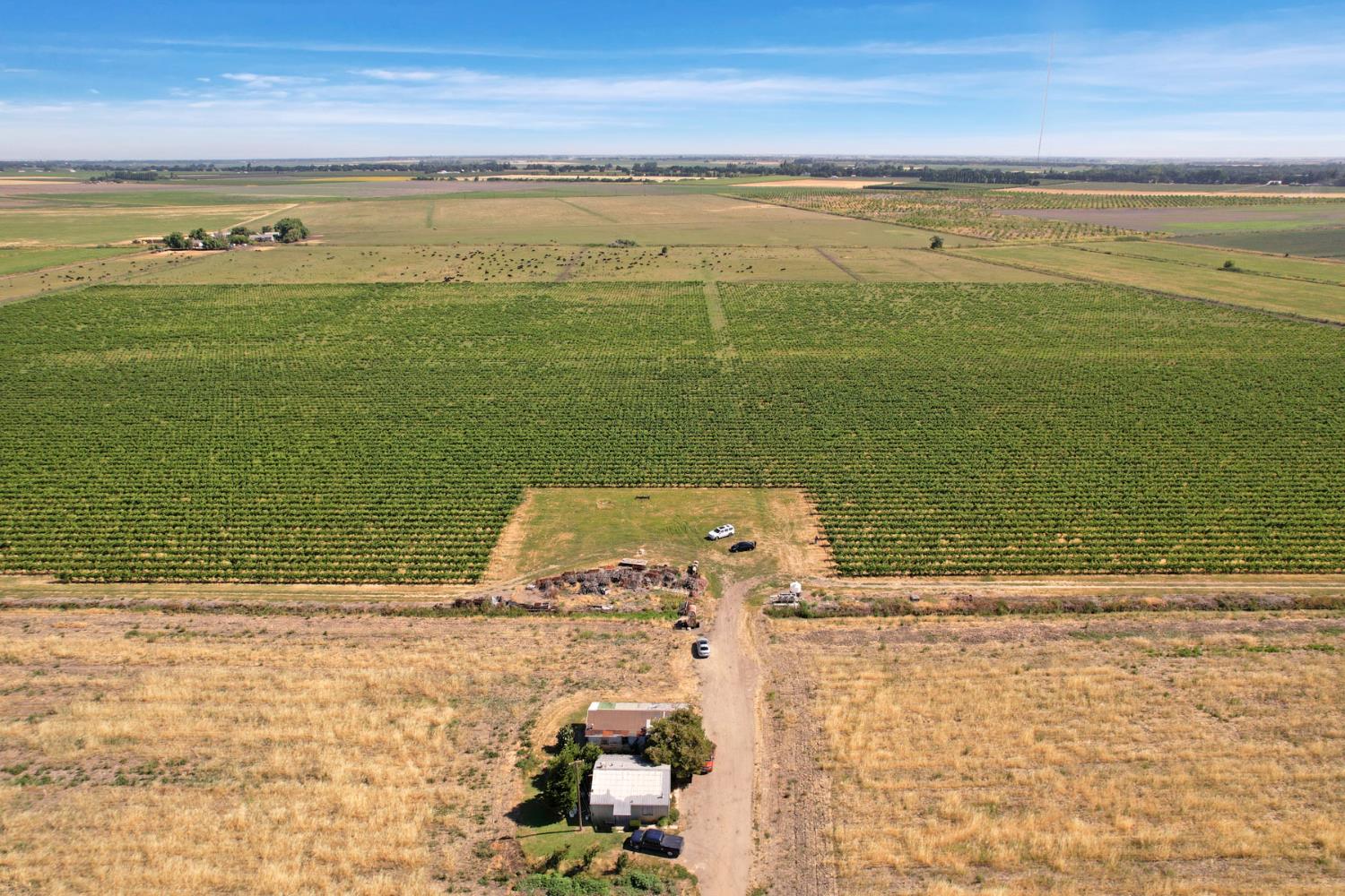 14226 Highway 160 Walnut Grove, CA 95690 - Photo 36 of 38