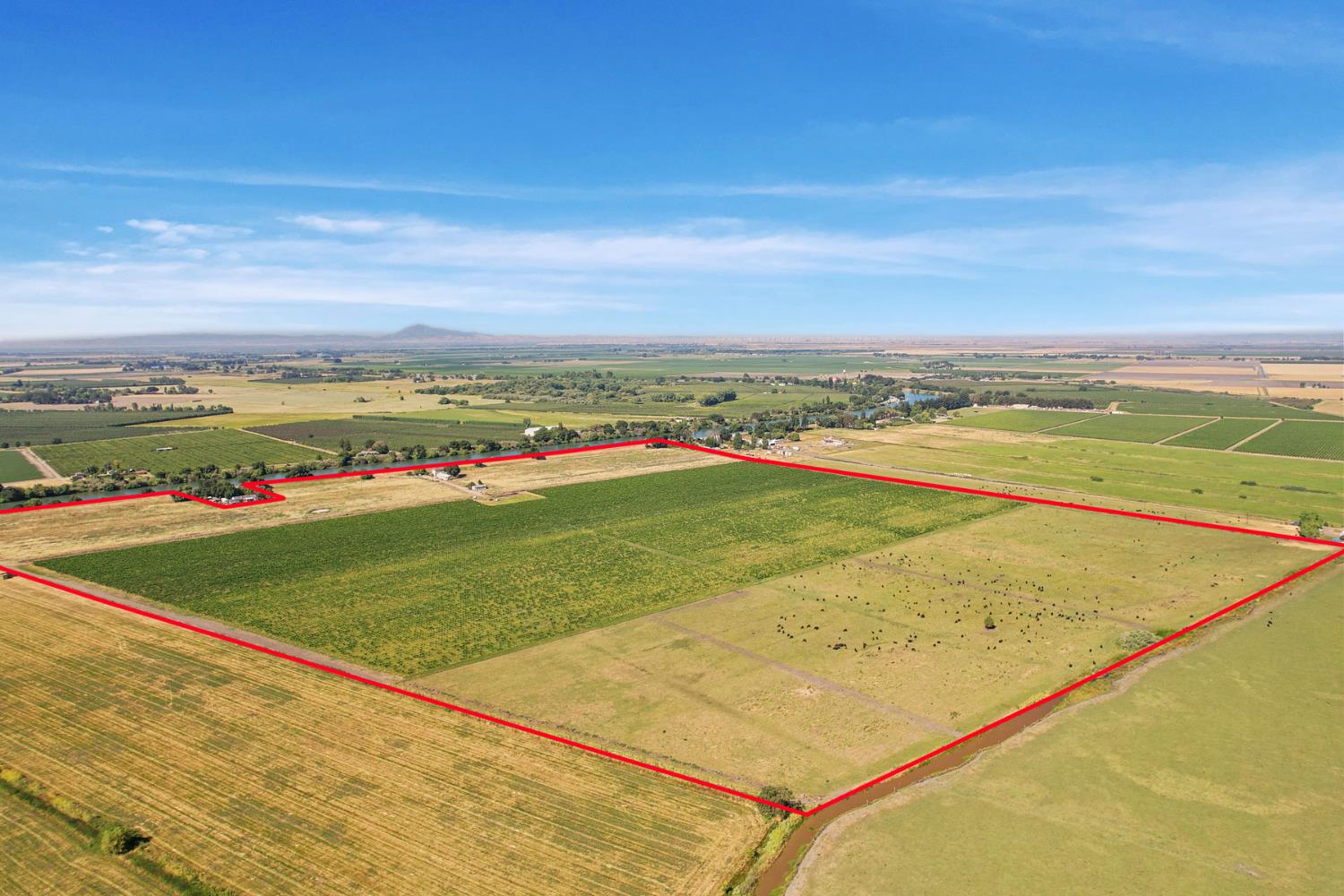 14226 Highway 160 Walnut Grove, CA 95690 - Photo 5 of 38