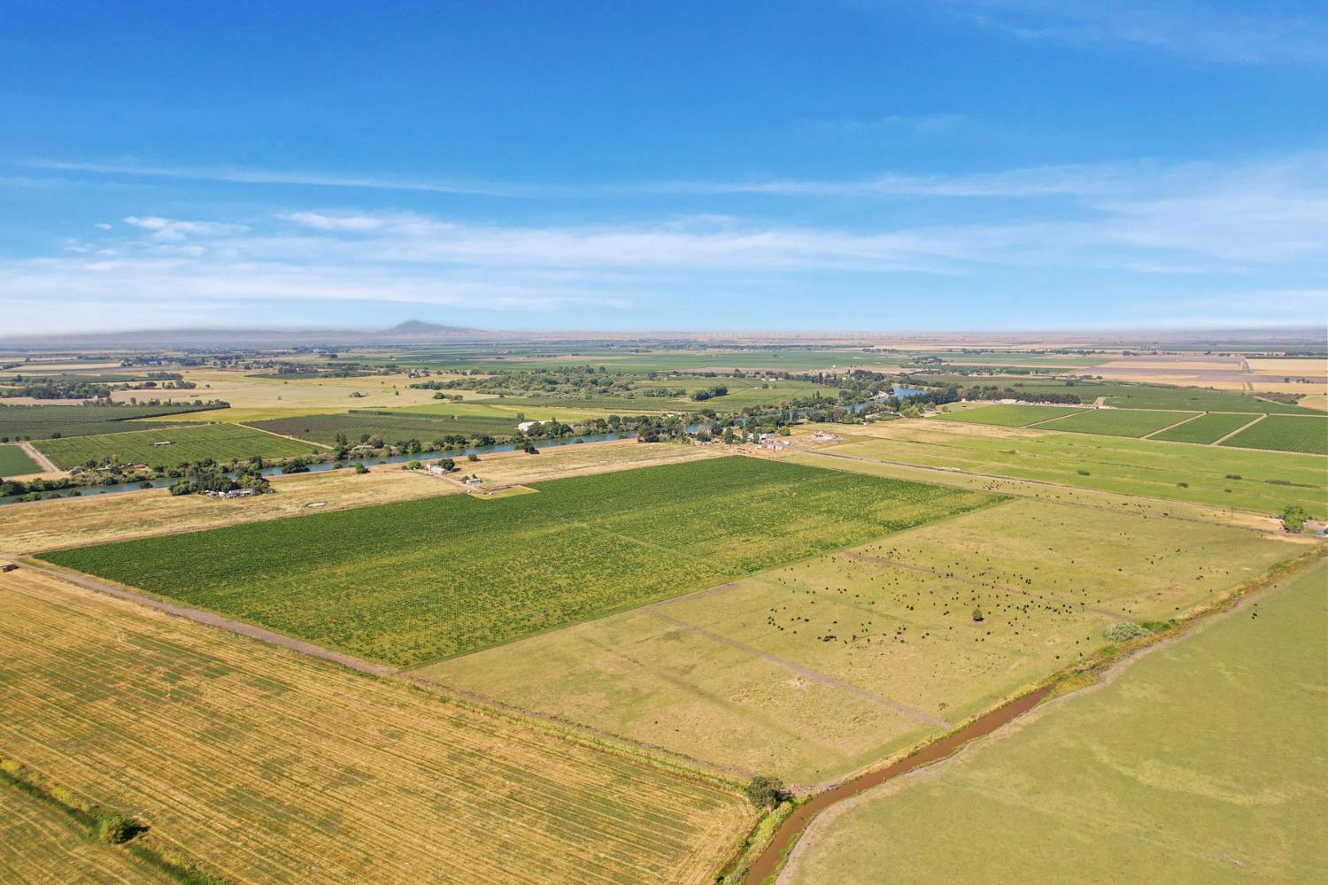 14226 Highway 160 Walnut Grove, CA 95690 - Photo 9 of 38