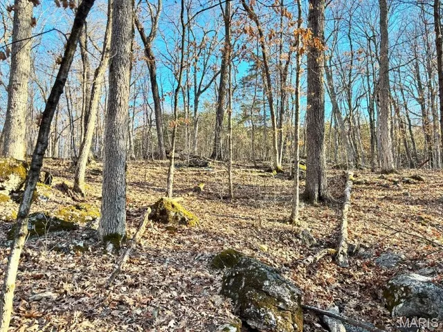 $406,014 | 41-acres Dover Drive, Holts Summit, MO 65043