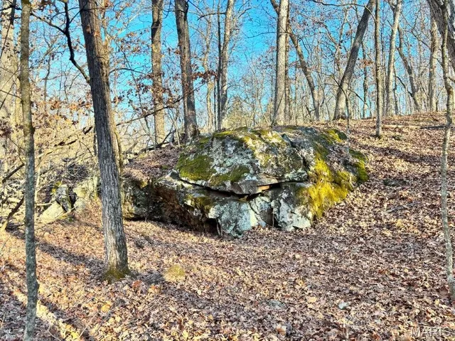 $406,014 | 41-acres Dover Drive, Holts Summit, MO 65043