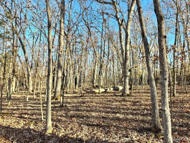 $406,014 | 41-acres Dover Drive, Holts Summit, MO 65043