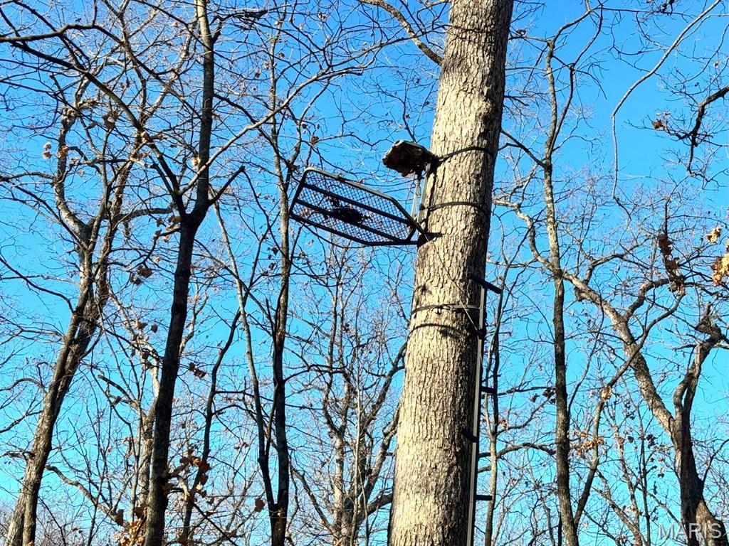 41-acres Dover Drive Holts Summit, MO 65043 - Photo 14 of 35