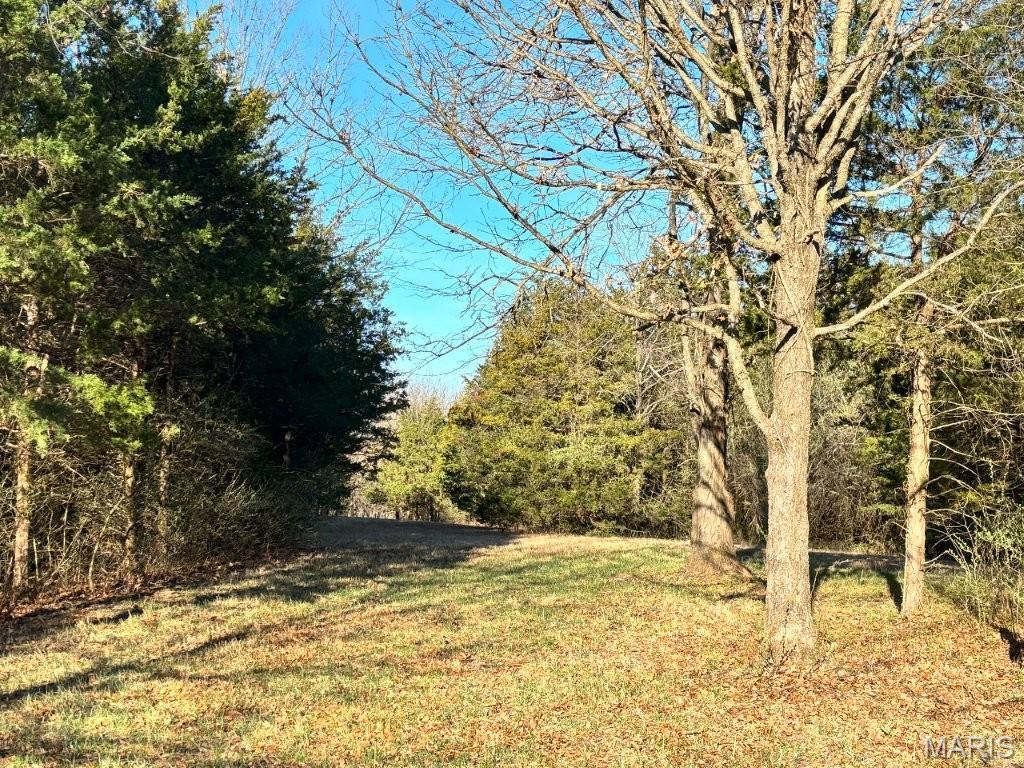 41-acres Dover Drive Holts Summit, MO 65043 - Photo 19 of 35