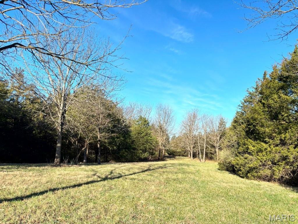 41-acres Dover Drive Holts Summit, MO 65043 - Photo 22 of 35