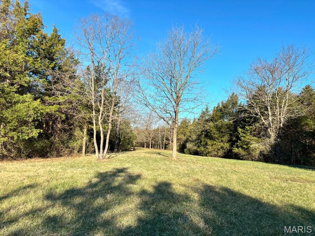 41-acres Dover Drive Holts Summit, MO 65043 - Photo 24 of 35