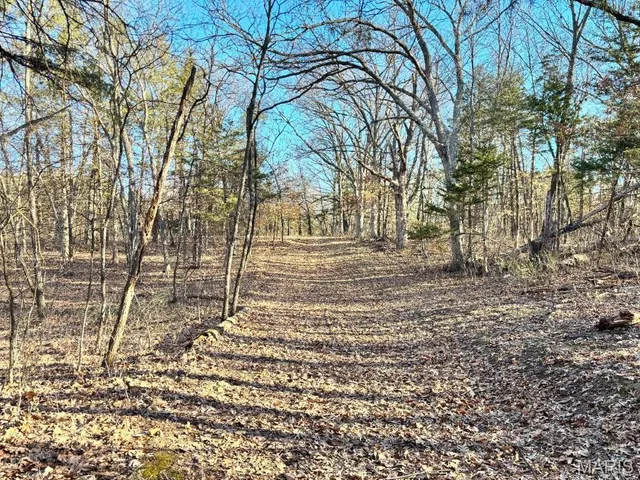 $406,014 | 41-acres Dover Drive, Holts Summit, MO 65043