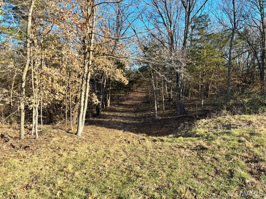 41-acres Dover Drive Holts Summit, MO 65043 - Photo 29 of 35