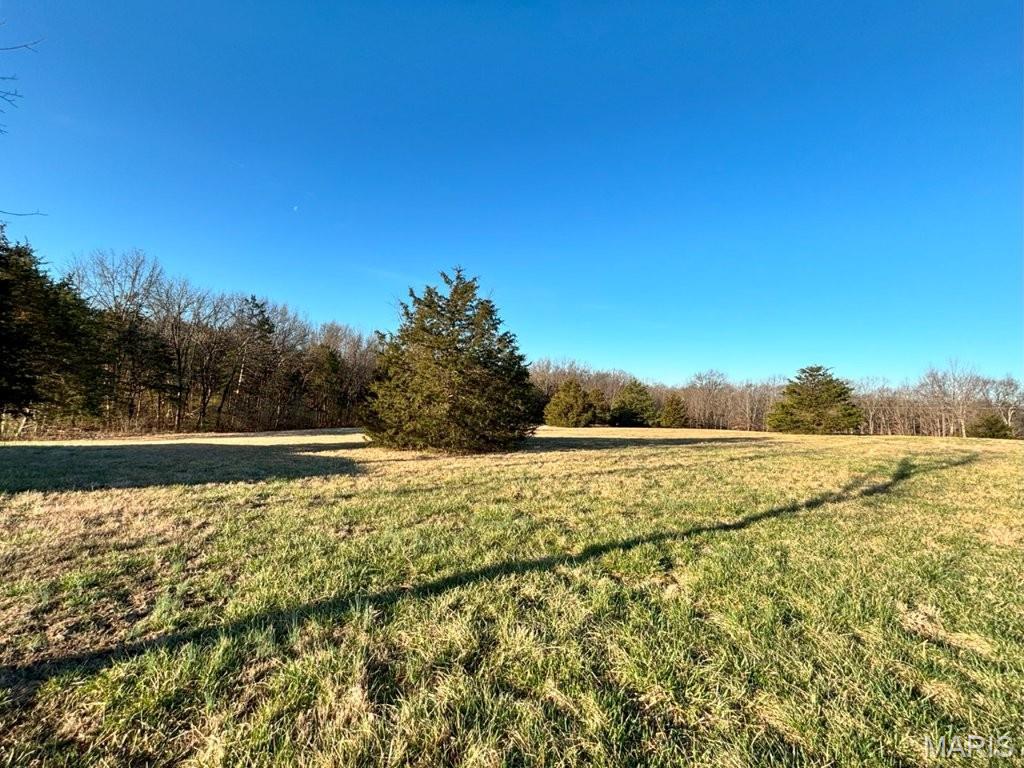 41-acres Dover Drive Holts Summit, MO 65043 - Photo 3 of 35