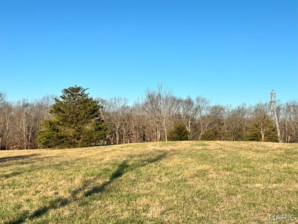 41-acres Dover Drive Holts Summit, MO 65043 - Photo 4 of 35