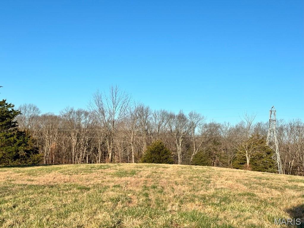 41-acres Dover Drive Holts Summit, MO 65043 - Photo 7 of 35