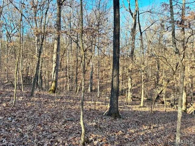 $406,014 | 41-acres Dover Drive, Holts Summit, MO 65043