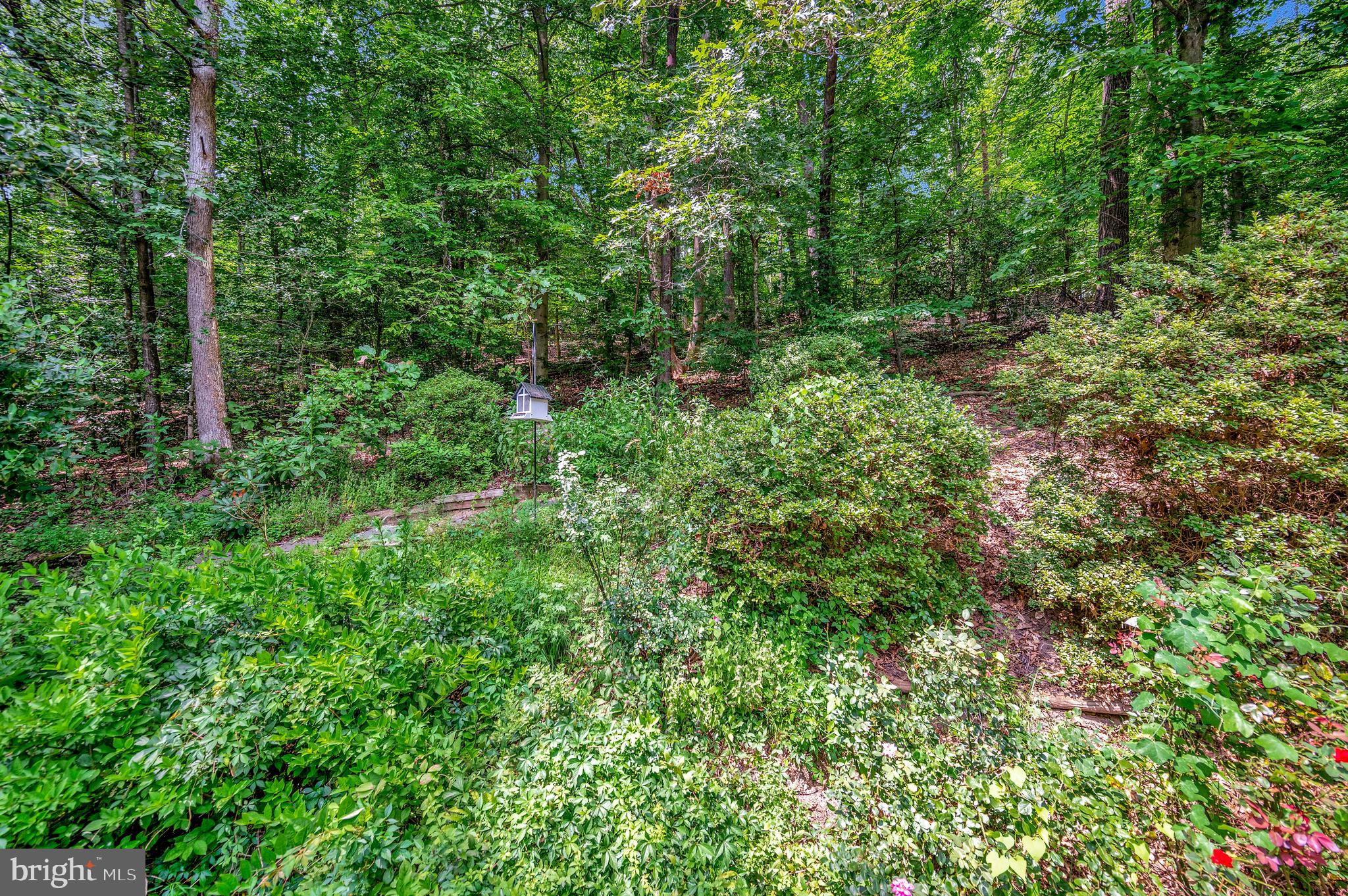 104 Dent Road Stafford, VA 22554 - Photo 65 of 118 Walking path in place for your outside adventures