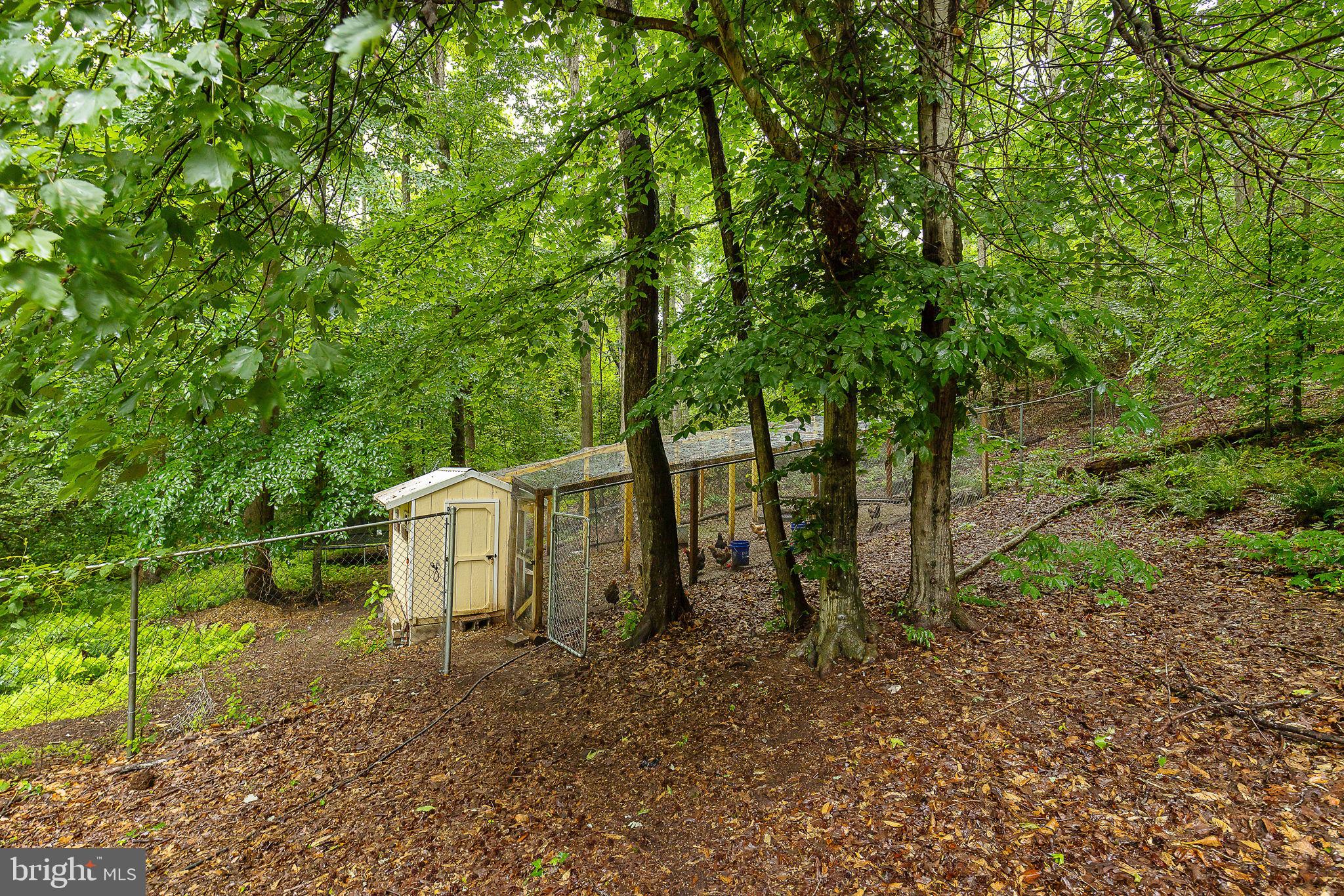 104 Dent Road Stafford, VA 22554 - Photo 69 of 118 Chicken coop - bring your chickens- NO HOA