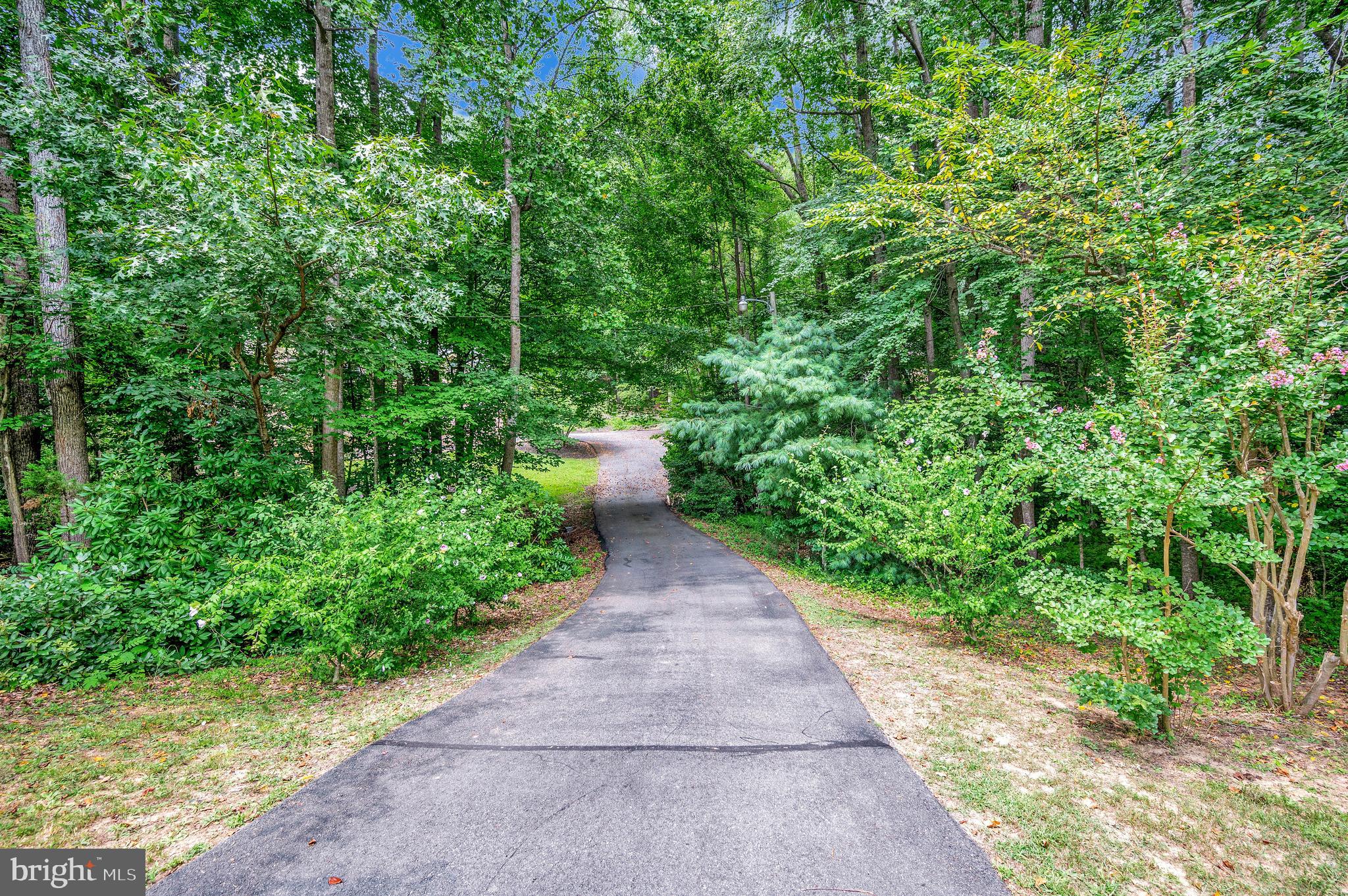 104 Dent Road Stafford, VA 22554 - Photo 80 of 118 a view of a pathway both side of yard