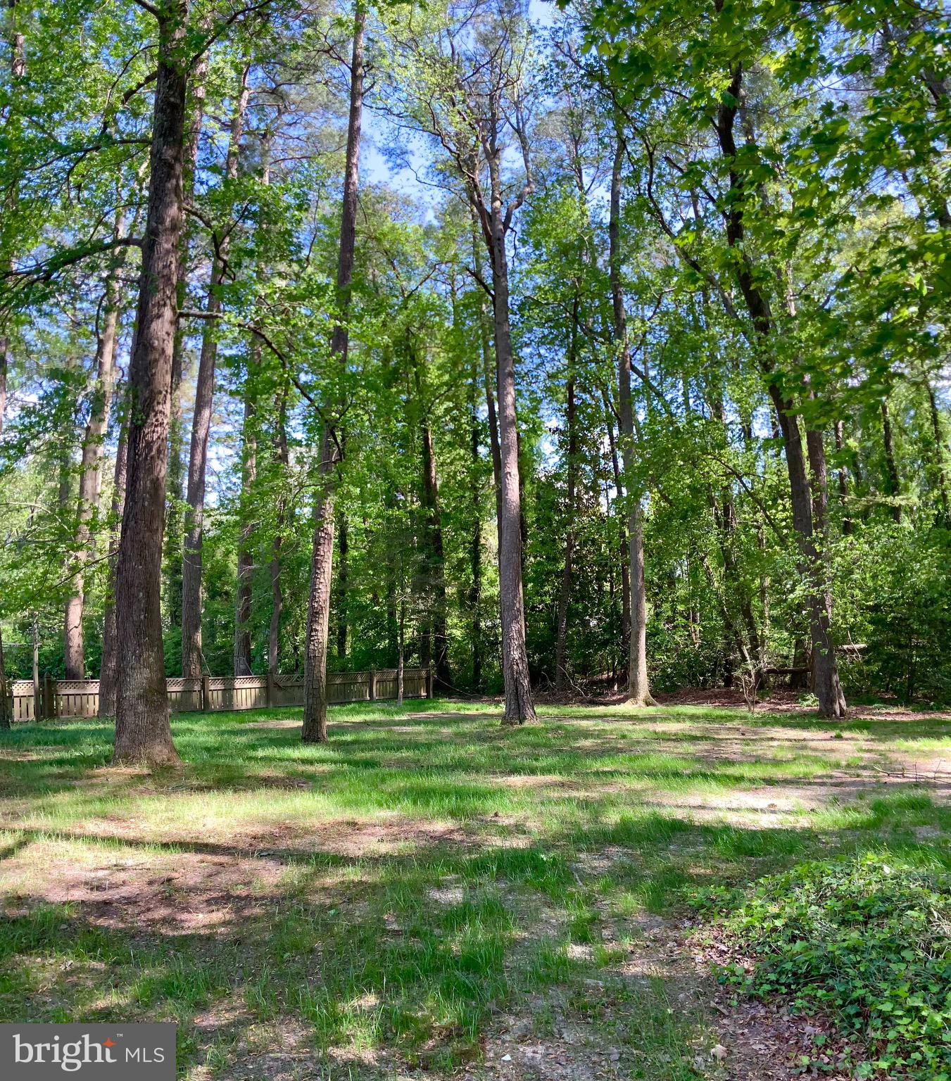 618 Douglas Road Salisbury, MD 21801 - Photo 44 of 45 Gallery Image 44