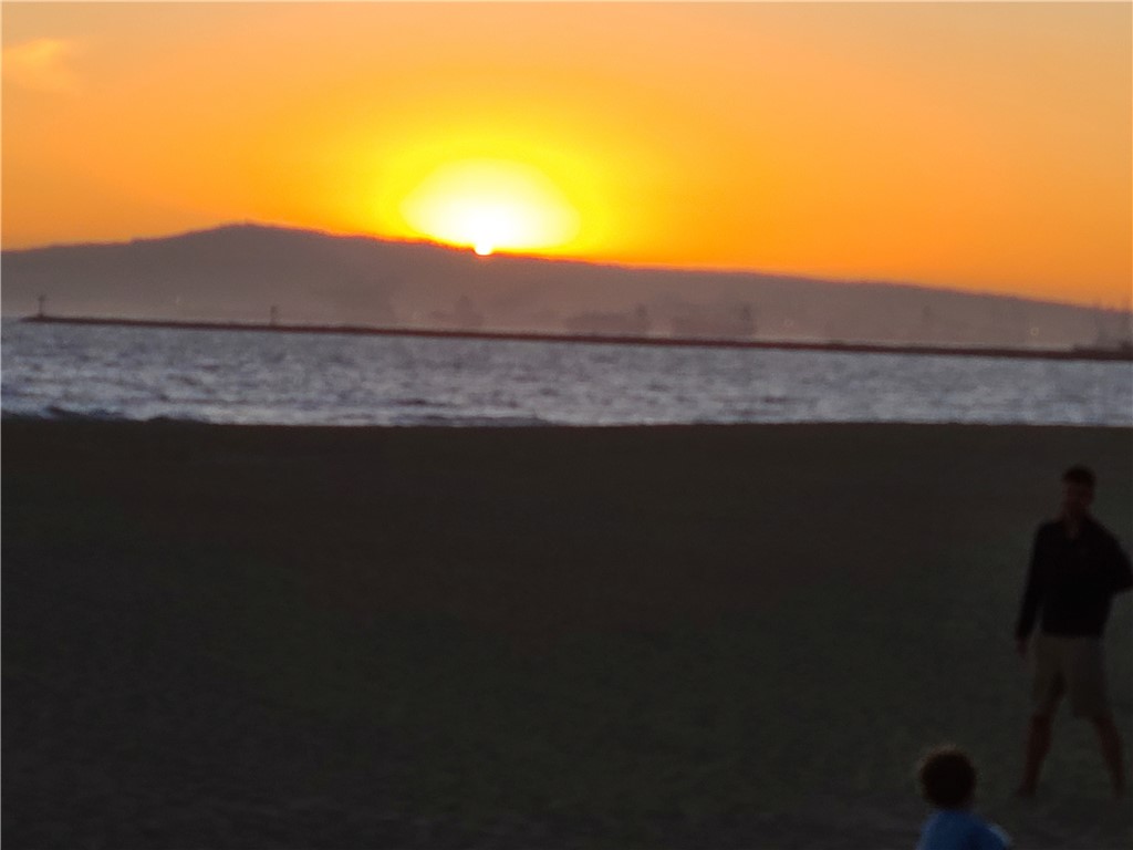 35 Surfside Avenue Surfside, CA 90743 - Photo 33 of 34 a view of house with backyard