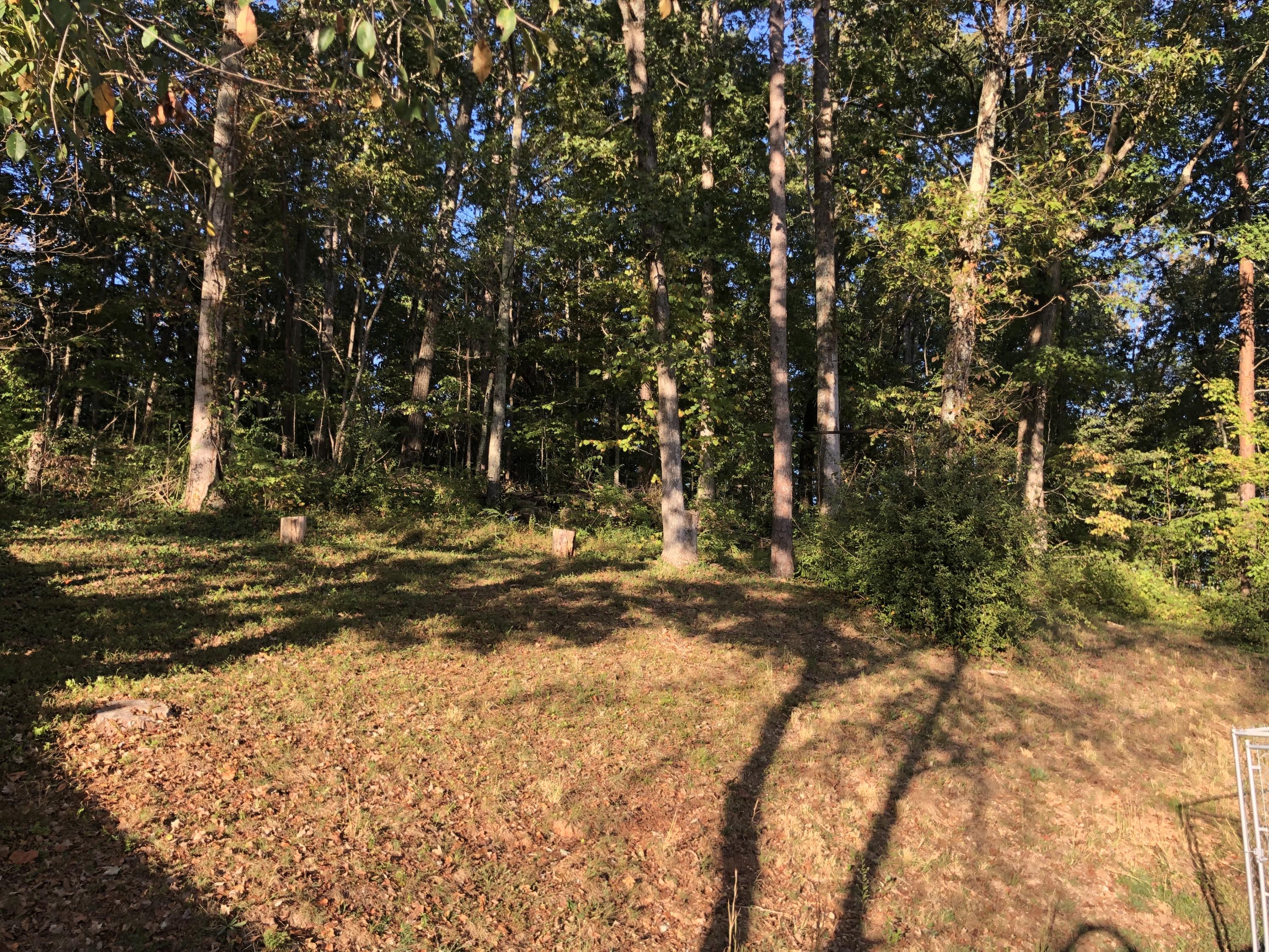 202 Alhambra Road Oak Ridge, TN 37830 - Photo 12 of 12 0D9AFFD7-578F-4E58-BC4B-170130363495