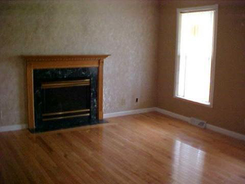 980 Plank Road Dundee, MI 48131 - Photo 5 of 10 670467-4.JPG
