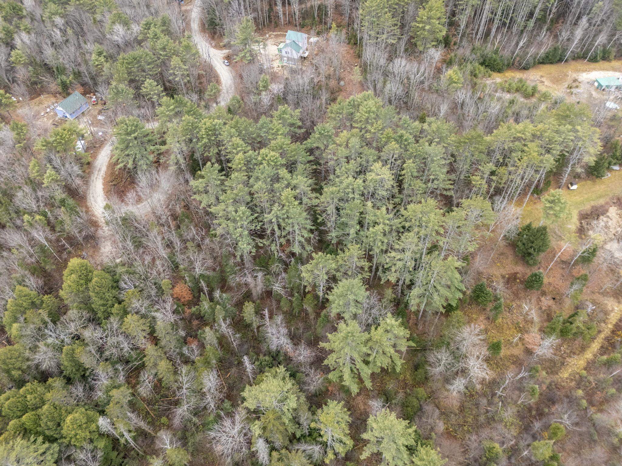 0 Juniper Meadow Road Danbury, NH 03230 - Photo 12 of 15