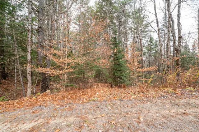 $150,000 | 0 Juniper Meadow Road, Danbury, NH 03230