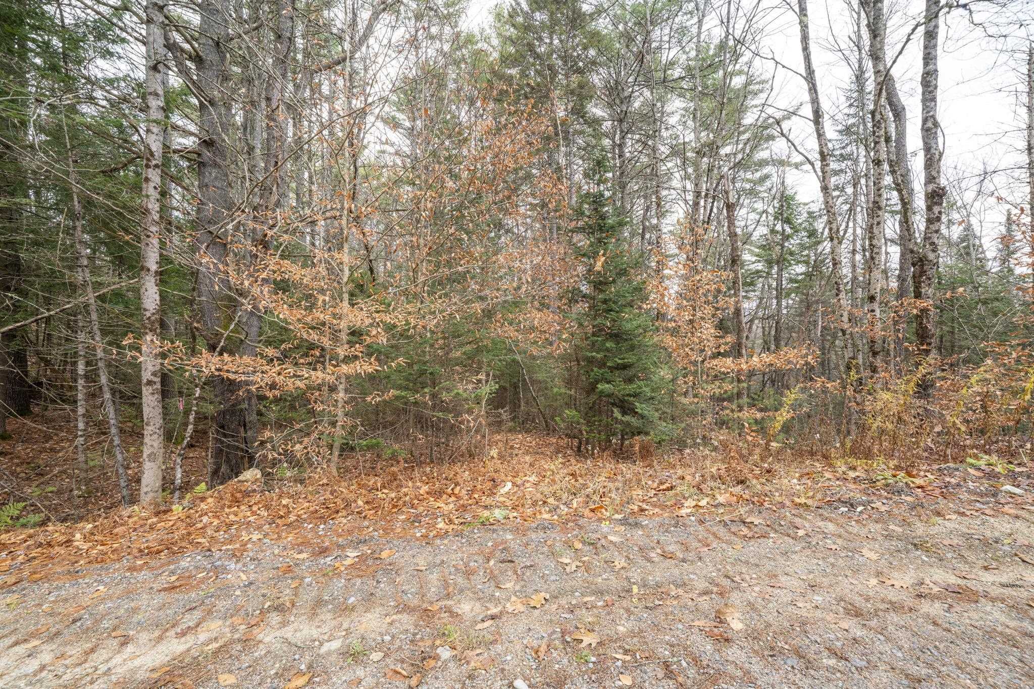 0 Juniper Meadow Road Danbury, NH 03230 - Photo 15 of 15