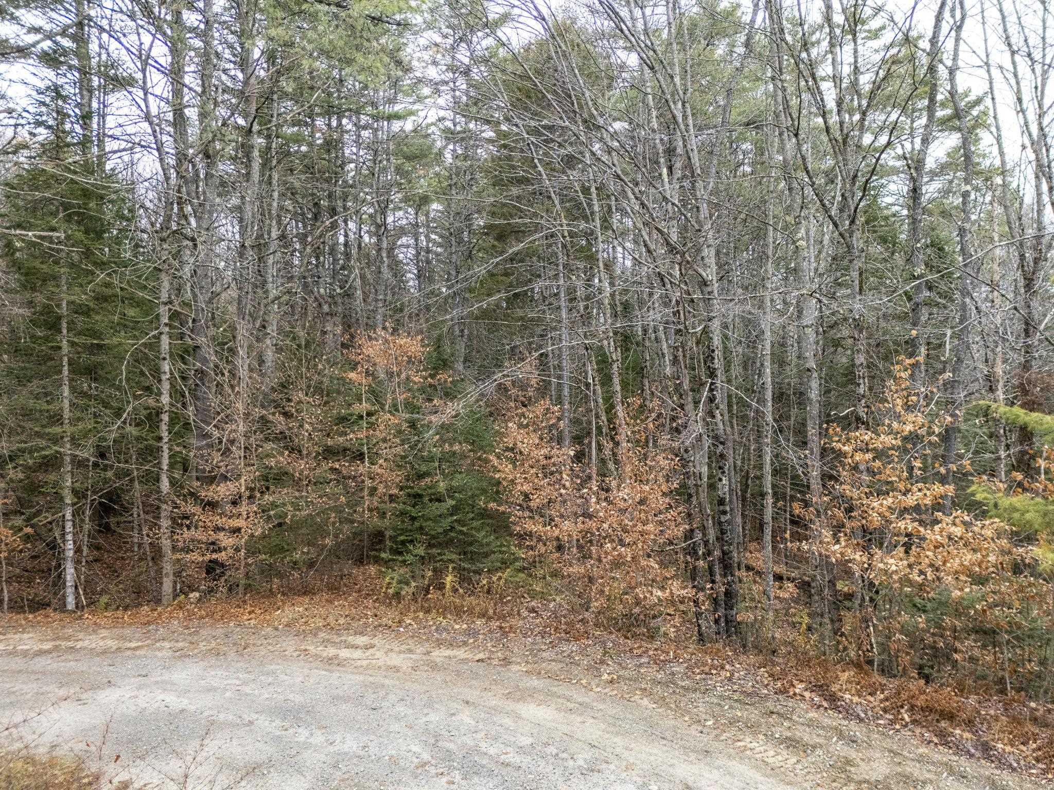 0 Juniper Meadow Road Danbury, NH 03230 - Photo 6 of 15