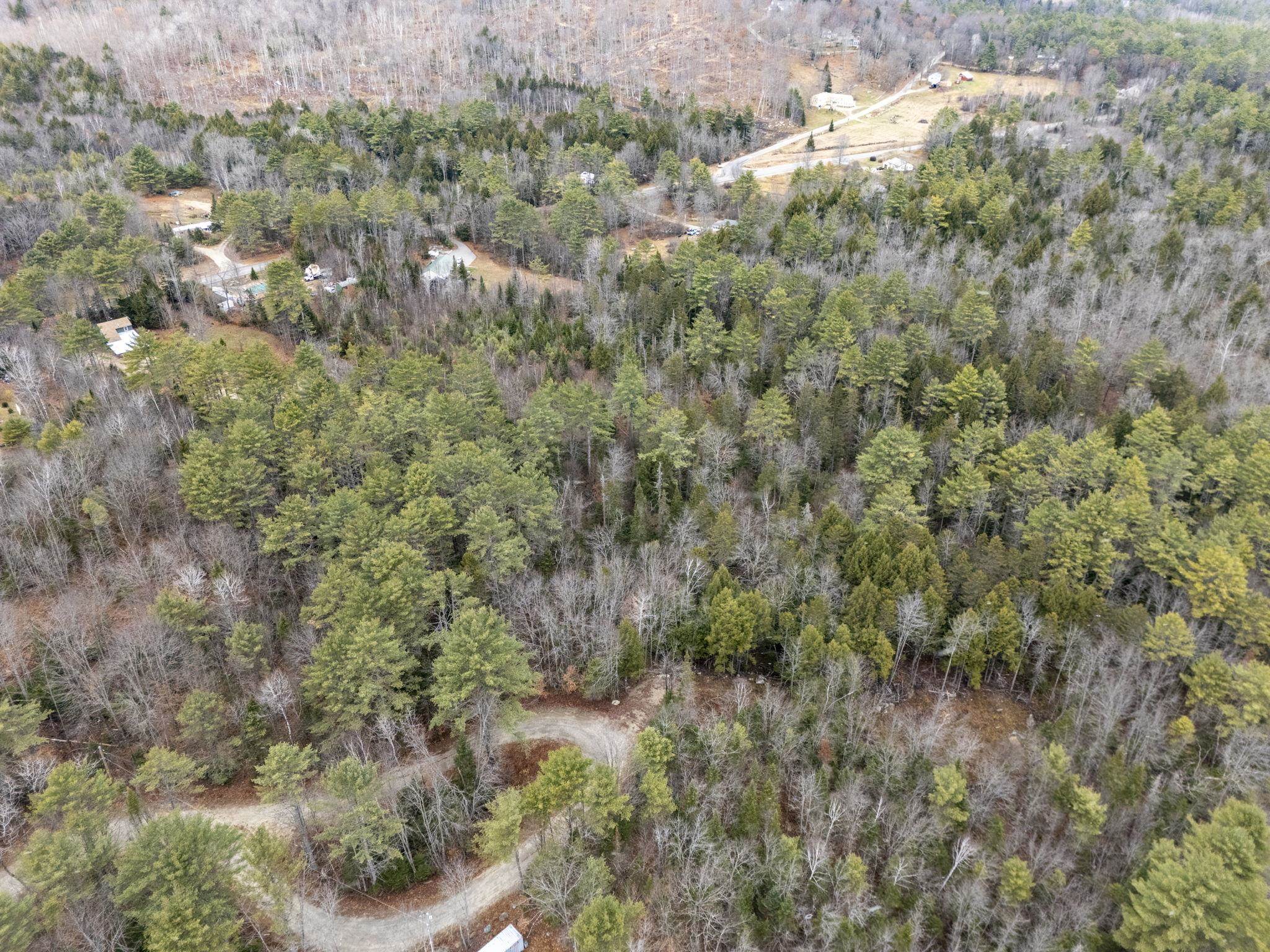 0 Juniper Meadow Road Danbury, NH 03230 - Photo 7 of 15