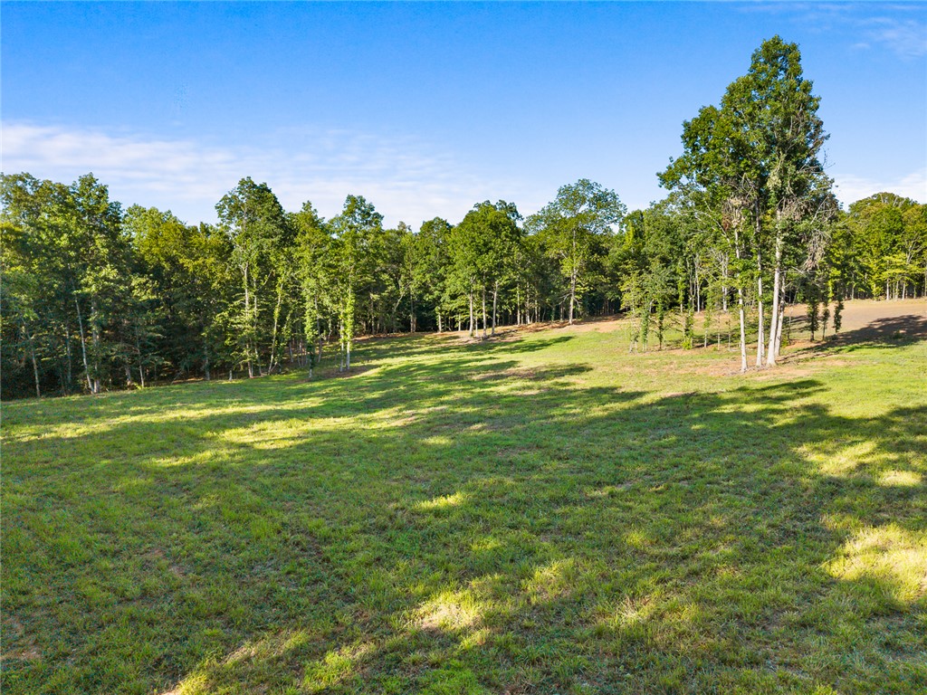 75 Hidden Acres Trail Pelzer, SC 29669 - Photo 19 of 32