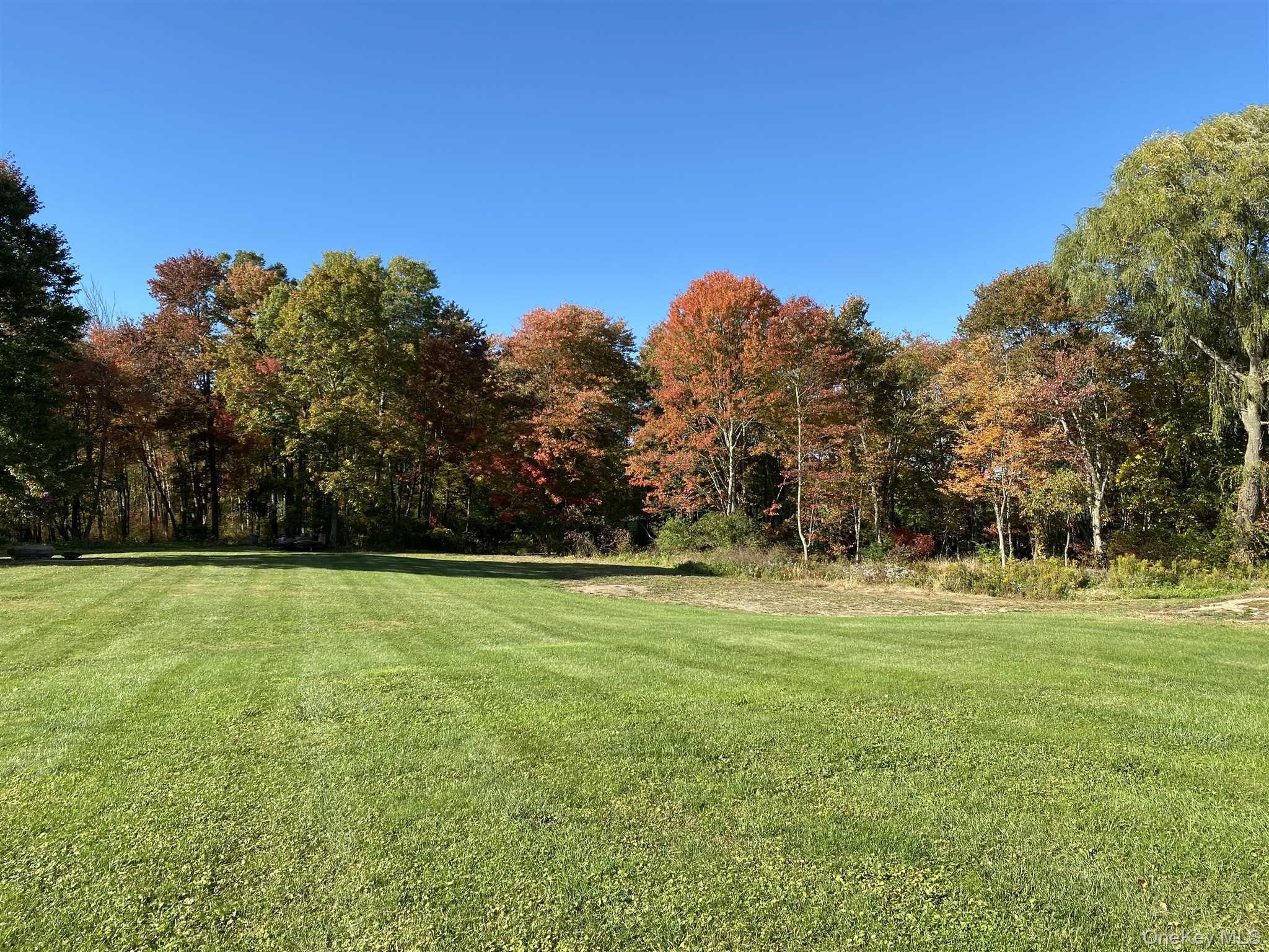 417 Tripp Road Millerton, NY 12546 - Photo 4 of 18 Endless Outdoor Space