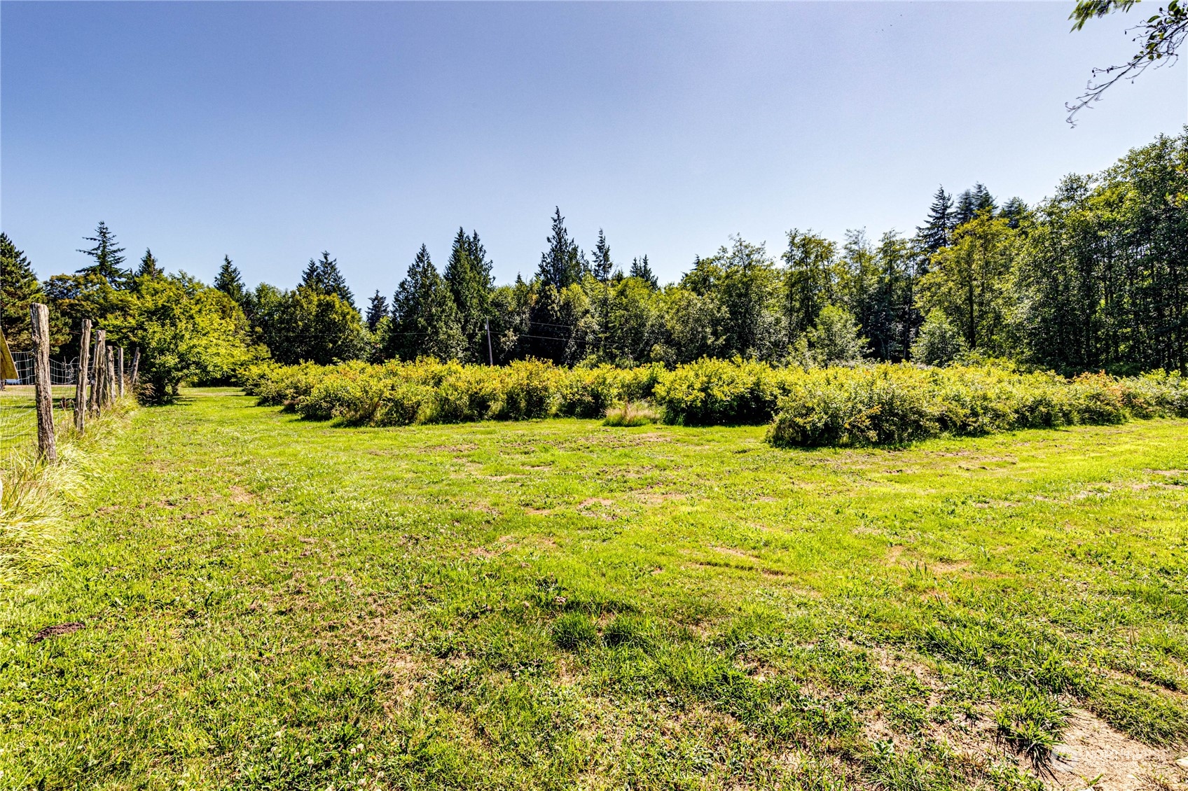 173 Lewallen Road Port Angeles, WA 98363 - Photo 33 of 40 Gallery Image 33