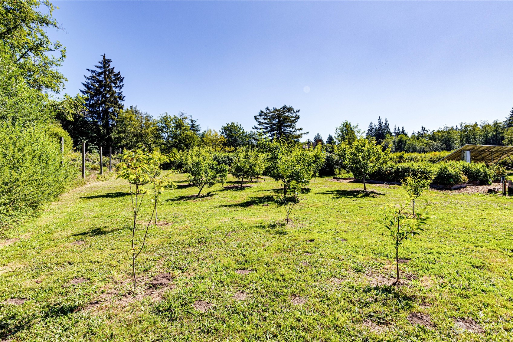 173 Lewallen Road Port Angeles, WA 98363 - Photo 34 of 40 Gallery Image 34